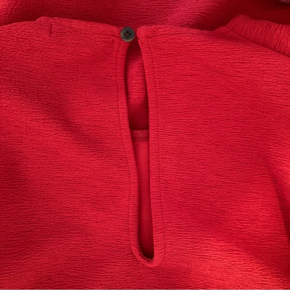 Red Dress - Picture 4 of 5